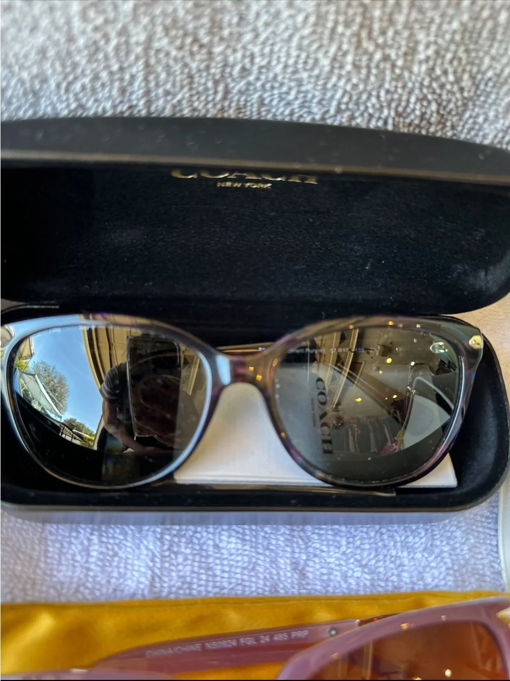 Coach Multicolor Purple Cat-Eye Sunglasses